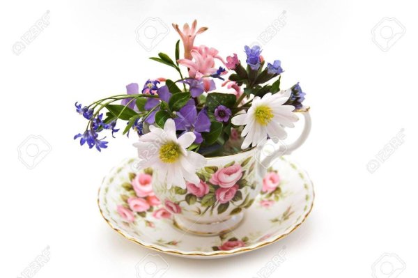 чайная чашка