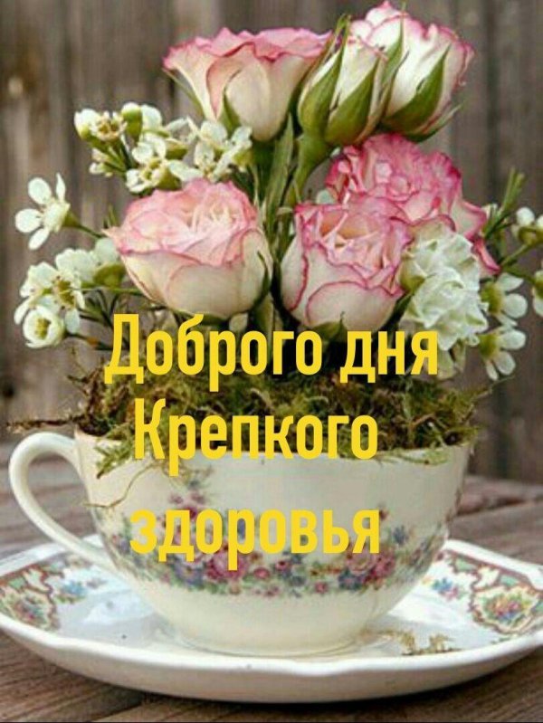 добрый день доброе утро