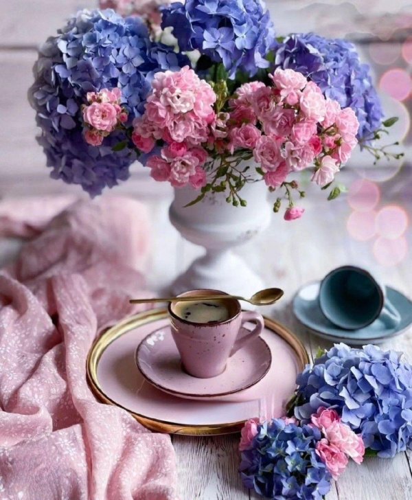 гортензия и кофе