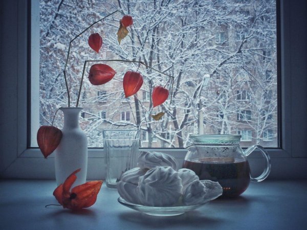 Зима за окном