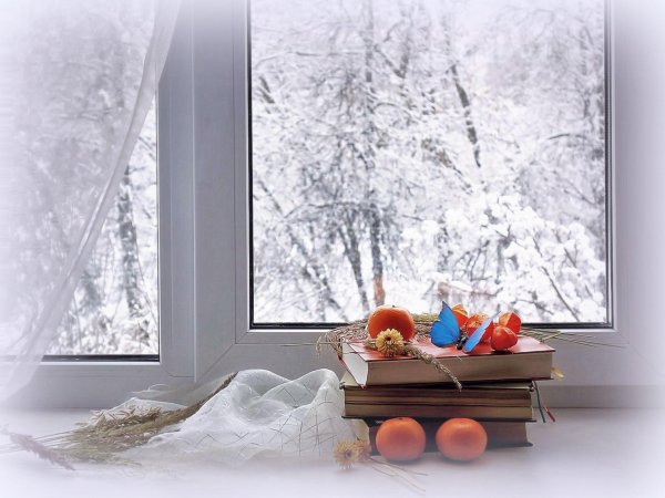 Зима за окном