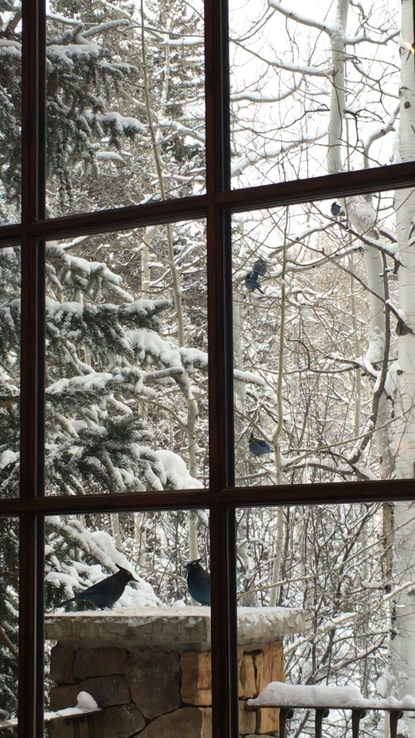 Зима за окном