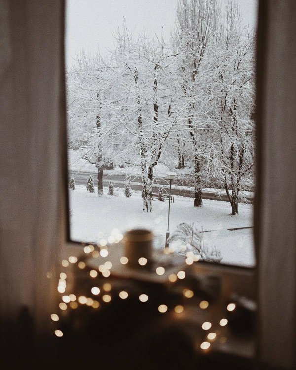 Зима за окном