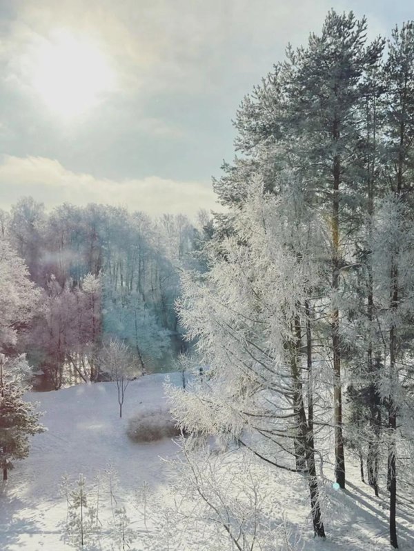 Зима за окном