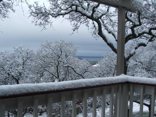 Зима за окном