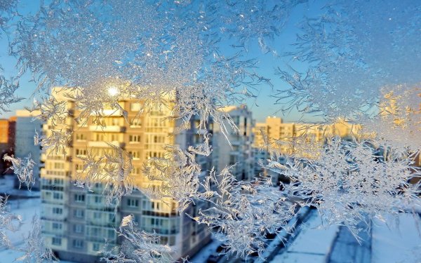 Зима за окном