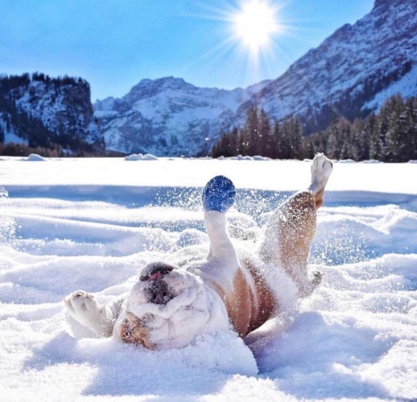 Хороших выходных зима