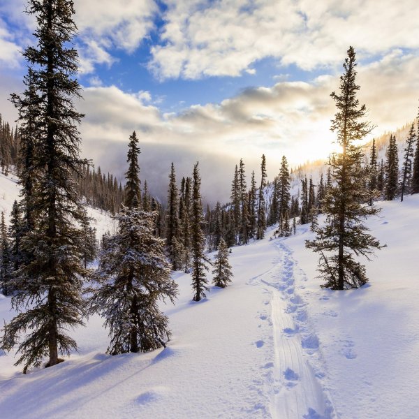 Хороших выходных зима