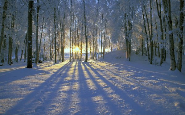 Зимний пейзаж зима снег