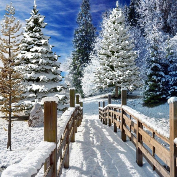 Зимний пейзаж зима снег