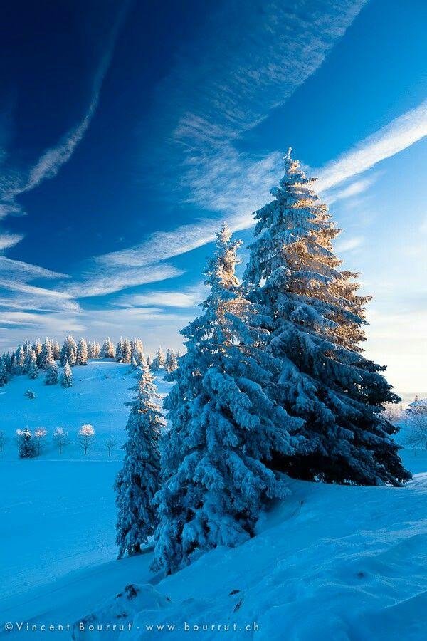 Зимний пейзаж зима снег