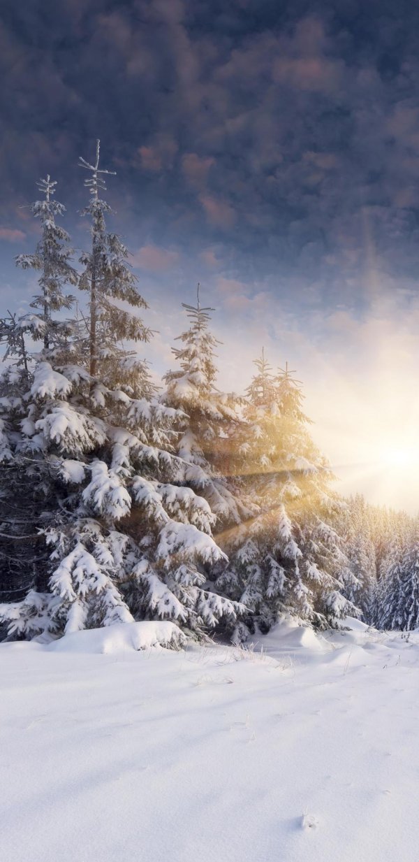 Зимний пейзаж зима снег