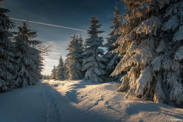 Зимний пейзаж зима снег