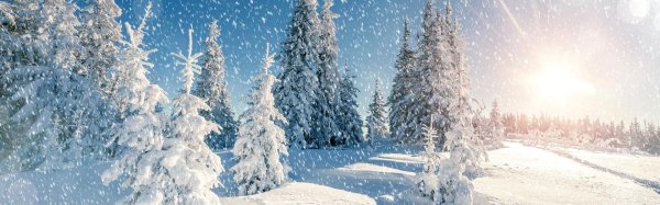 Зимний пейзаж зима снег