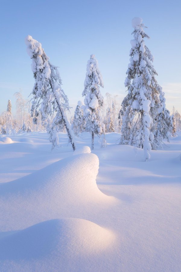 Зимний пейзаж зима снег