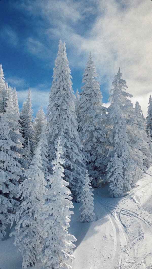 Зимний пейзаж зима снег