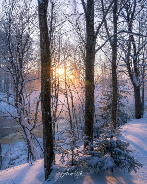 Зимний пейзаж зима снег