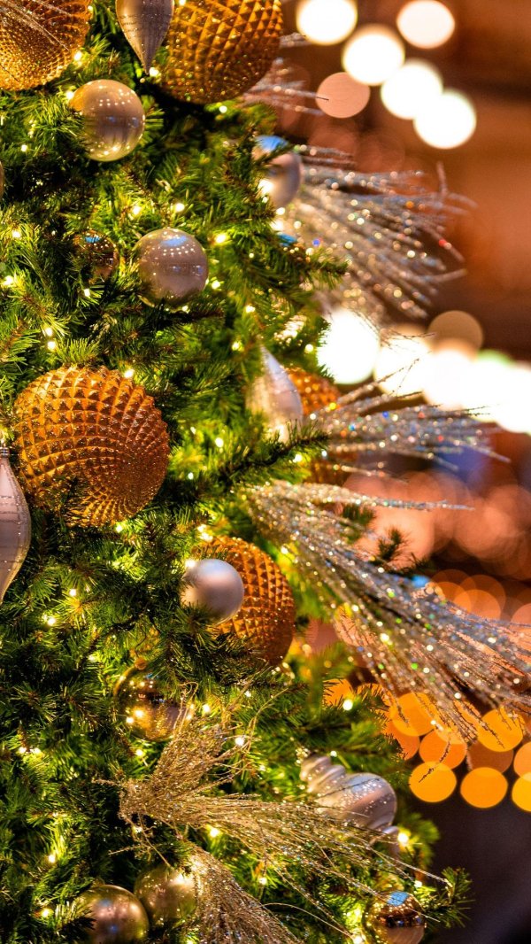 Зима новогодние