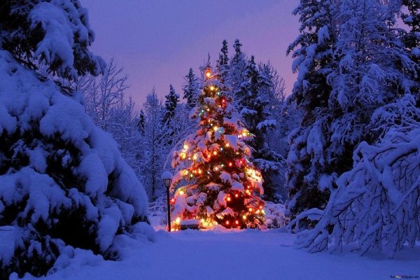 Зима новогодние