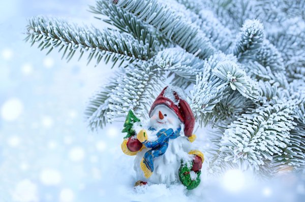 Зима новогодние