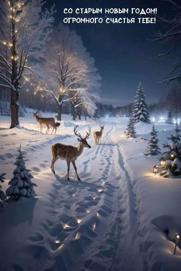 Зима сказочная