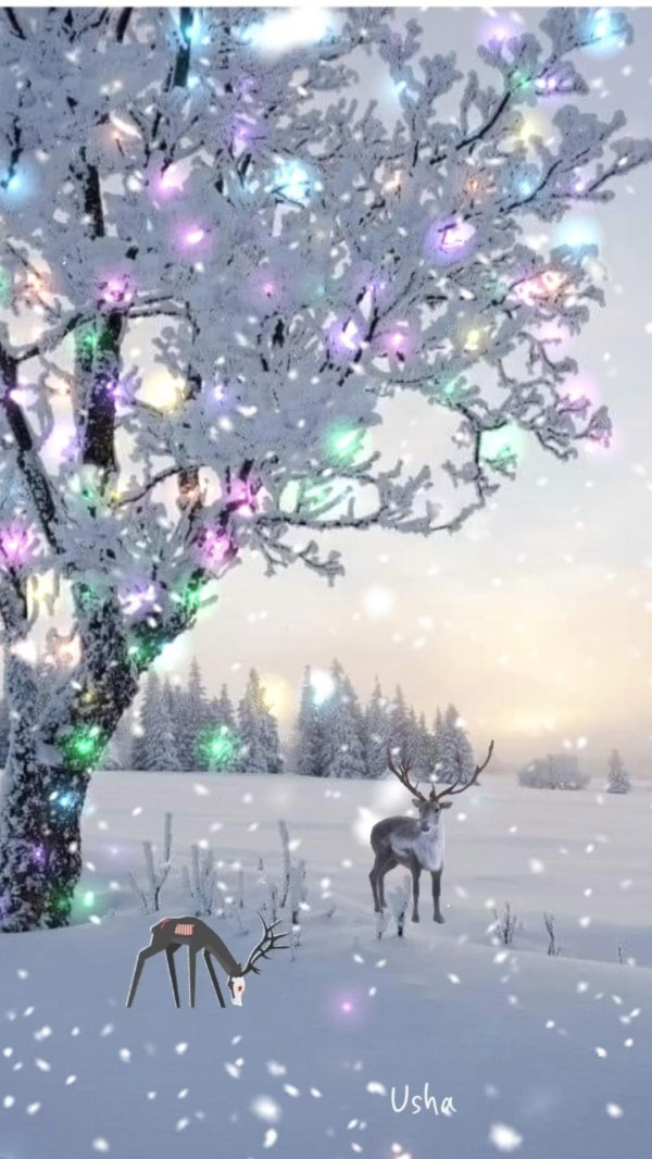 Зима сказочная