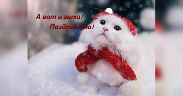 Зима и животные