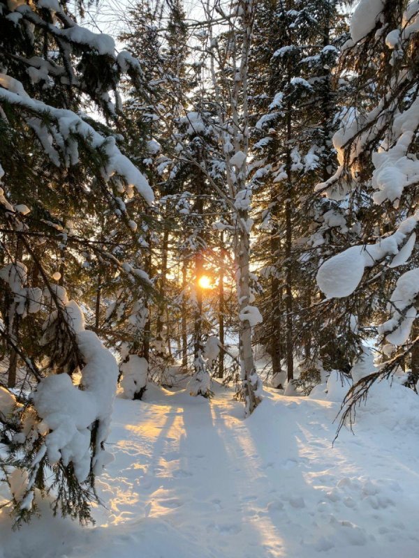 Русская зима