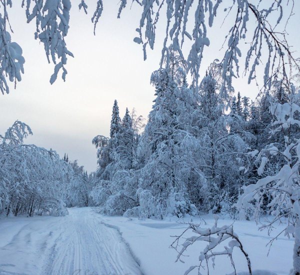 Русская зима