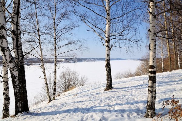 Русская зима