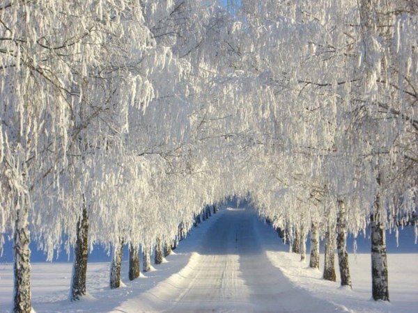 Русская зима