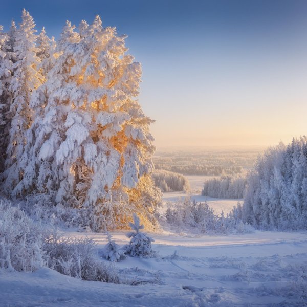 Русская зима