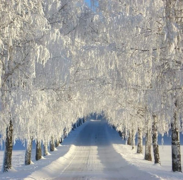 Русская зима