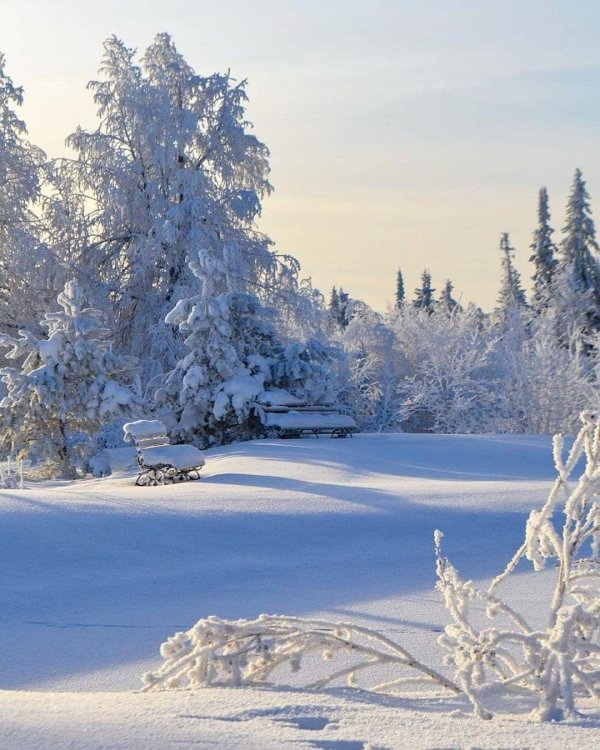 Русская зима