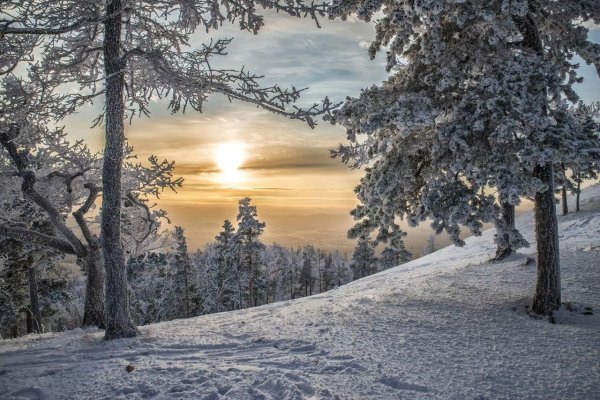 Русская зима