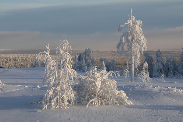 Русская зима