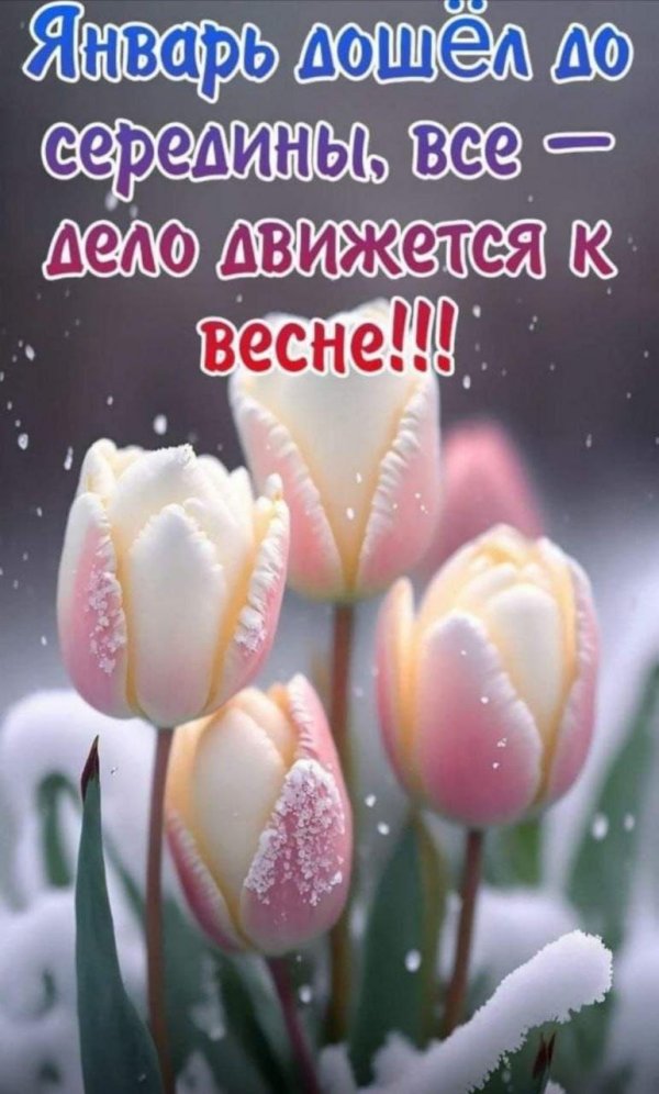 Доброго вторника зима