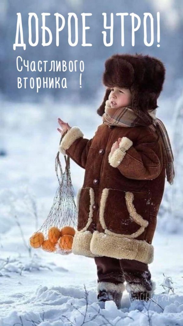 Доброго вторника зима