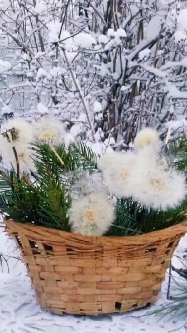 Доброго вторника зима