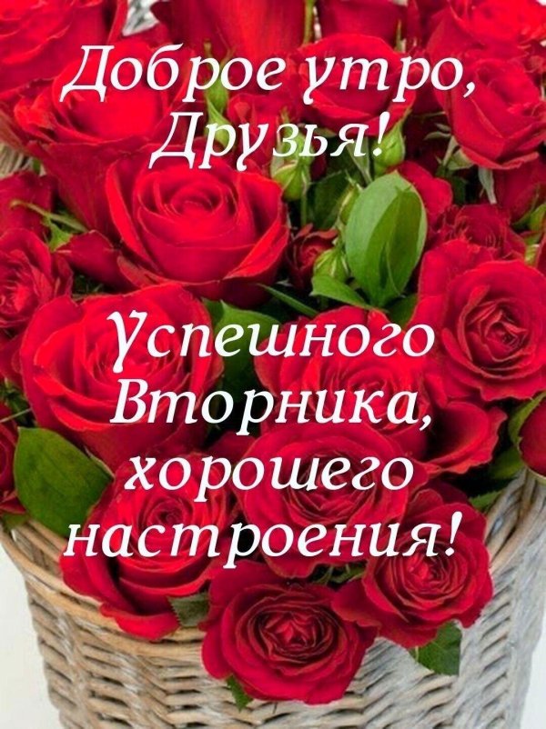 Доброго вторника зима