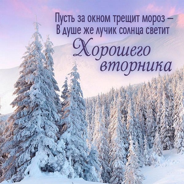 Доброго вторника зима