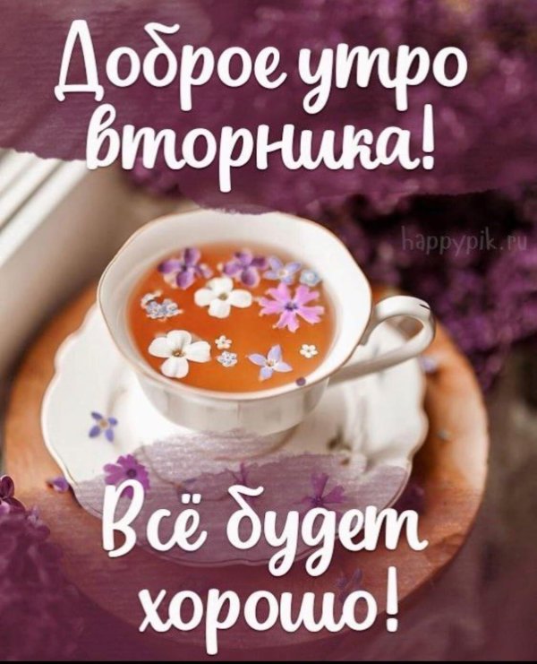 Доброго вторника зима