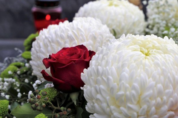 красные розы с белыми хризантемами