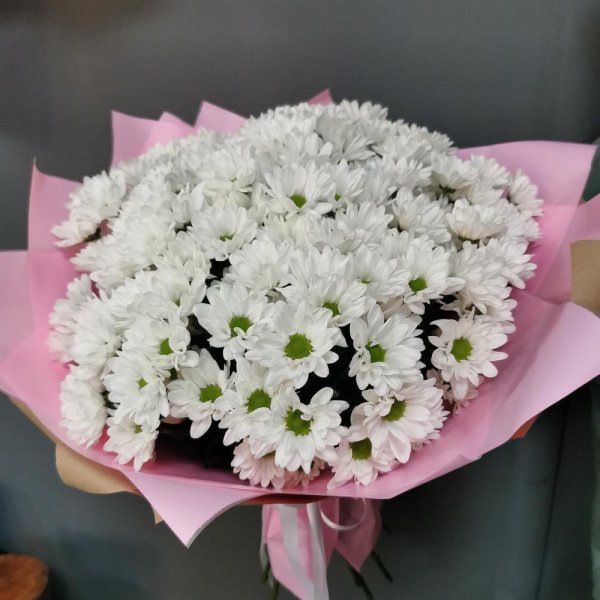 букет из хризантем кустовых белых ромашек