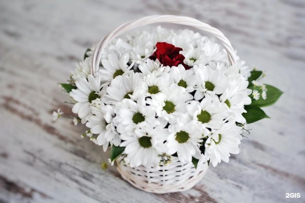 корзина с ромашками