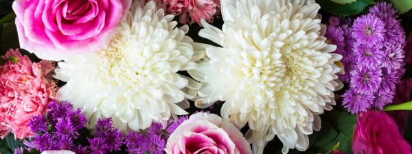 хризантема коко шанель