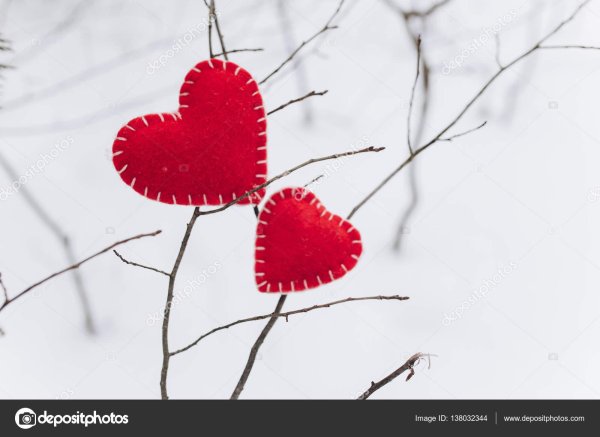 Зима любовь