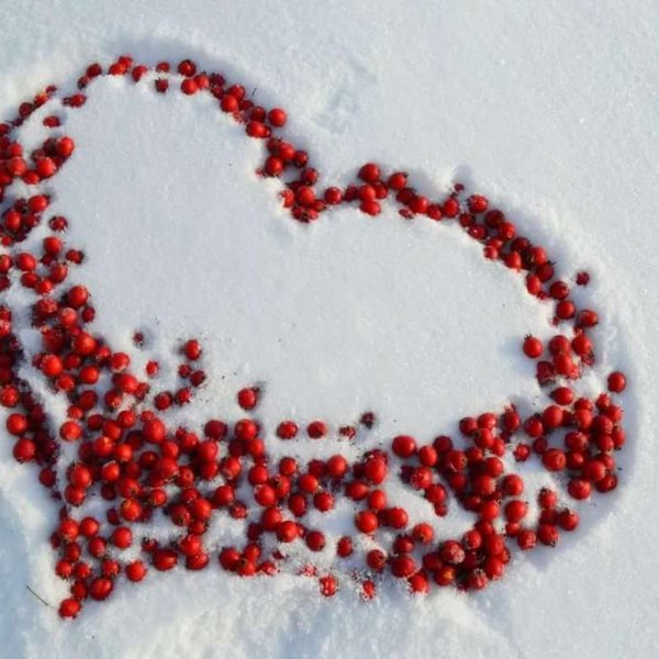 Зима любовь