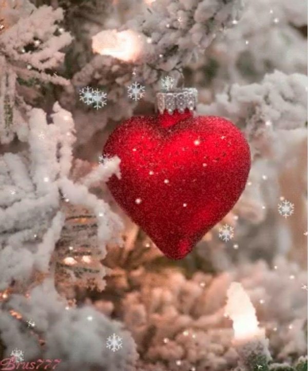 Зима любовь