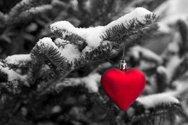 Зима любовь